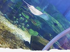 -顺德南宏海立方海洋公园