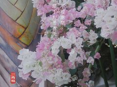 -深圳国际园林花卉博览园