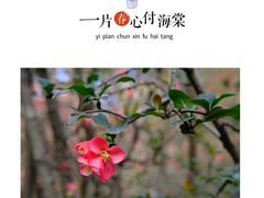 -塔子山公园