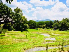 -四季酒店下午茶