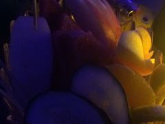 -音乐房子·Vintage Live Bar(玉林总店)