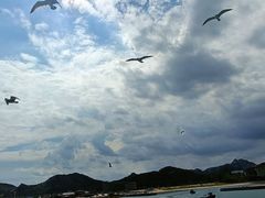-海驴岛(荣成市)