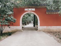 -灵谷景区