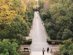 -灵谷景区