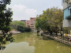 -小洲村