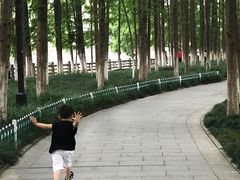 -范蠡湖公园