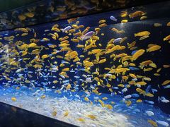 -成都浩海立方海洋公园