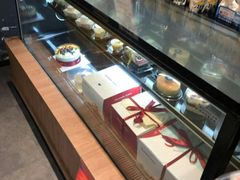 -向阳坊(树兜店)
