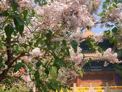 -潭柘寺景区