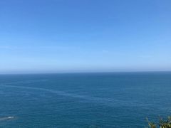 -广东惠东海龟国家级自然保护区