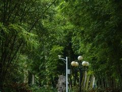 -荔枝公园(福田区)