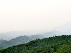 -铁山坪森林公园