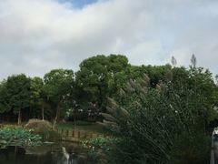 -中国浦东干部学院