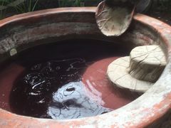 -龙达温泉生态城
