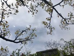 -天源渔港农庄