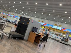 -谢列梅捷沃国际机场