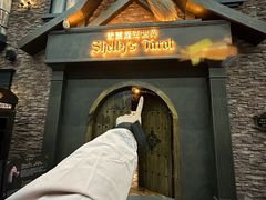 -雪灵魔法世界SHELLY’S TAROT(大良桂畔里店)
