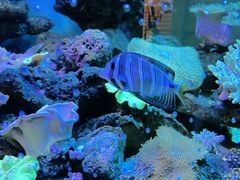 -碧中海汤泉汗蒸酒店