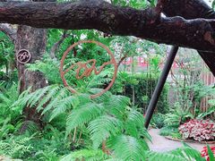 -Chom Cafe and Restaurant