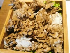 -盡膳口福跷脚牛肉火锅(合生汇购物中心店)