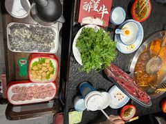 -醉董牛川派鲜肉自选火锅(烟台店)