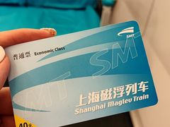 -浦东1号2号航站楼(地铁站)