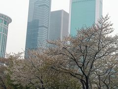 -西北湖绿化广场