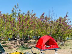 -天津东丽湖风景区