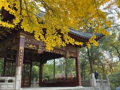 -汇龙潭