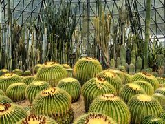 -深圳仙湖植物园