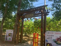 -御林古桑园