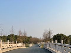 -贡湖湾湿地公园