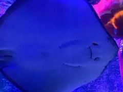 -沈阳海洋探索中心