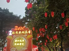 -越秀西湖花市(广州城市广场花卉店)