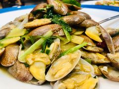 -外滩1288花园丽舍