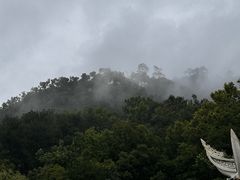 -黔灵山公园
