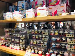 -猫咪博物馆(顶澳仔猫街店)