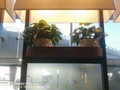 -肯德基(烟台机场店)