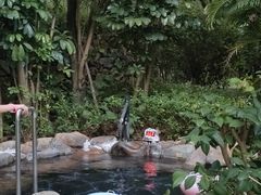 -凤翔首邑温泉度假村