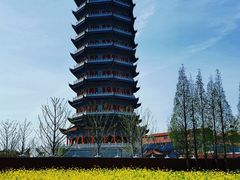 -皇罗禅寺