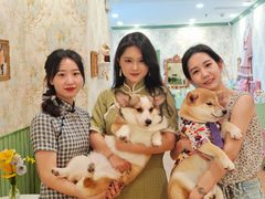 -怪兽屋·羊驼·猫咖·狗咖(俊华广场店)