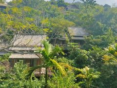 -海南槟榔谷黎苗文化旅游区