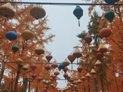 -南宫五洲植物乐园