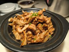 -佬肥猫(国华广场店)