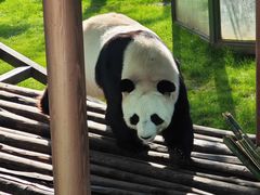 -栾川竹海野生动物园