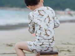 -西涌国际滨海旅游区