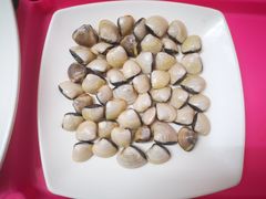 白贝-渔文乐农庄