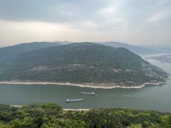 -铁山坪森林公园