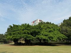-南宁南湖公园