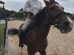 -松声马术俱乐部